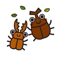 初心者さん向けクワガタ＆カブト質問教室🔰