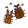 初心者さん向けクワガタ＆カブト教室🔰