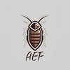 AEF 杜比亞販售 & 爬蟲 爬寵交流