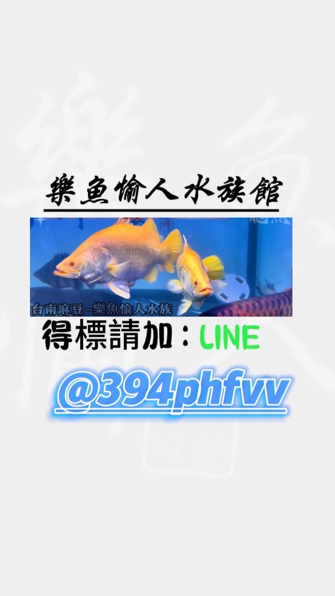樂魚愉人水族館 專屬福利競標群