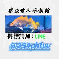 樂魚愉人水族館 專屬福利競標群