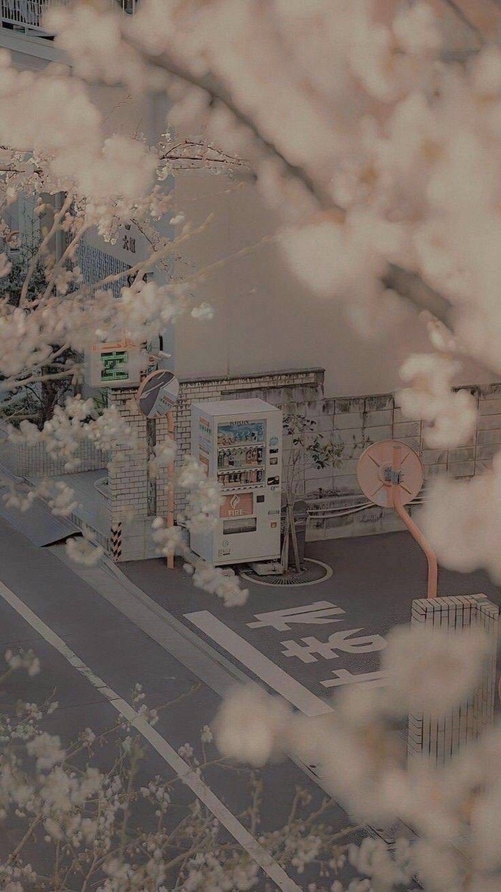 ✧耀眼銀光✧