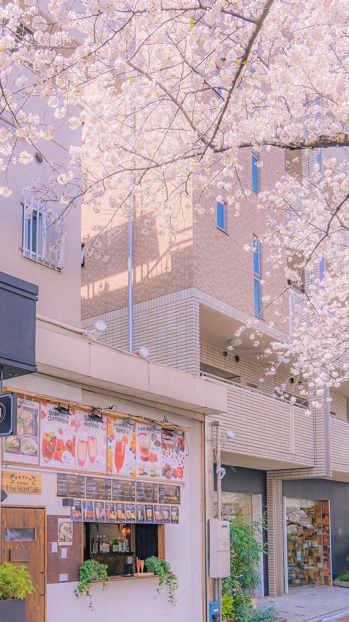 ✧耀眼銀光✧