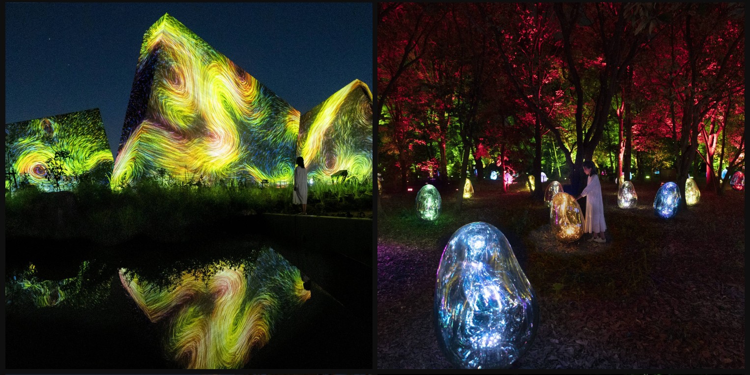 大阪長居植物園_teamLab_Botanical_Garden_Osaka