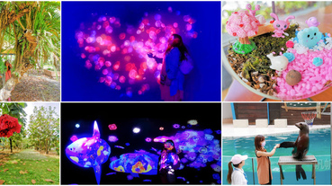 【花蓮 景點/住宿】遠雄海洋公園 蜷川實花風格互動屏幕 適合情侶放閃 花蓮怡園渡假村 百年老樹 台灣造型樹洞 苔癬微景觀生態瓶DIY