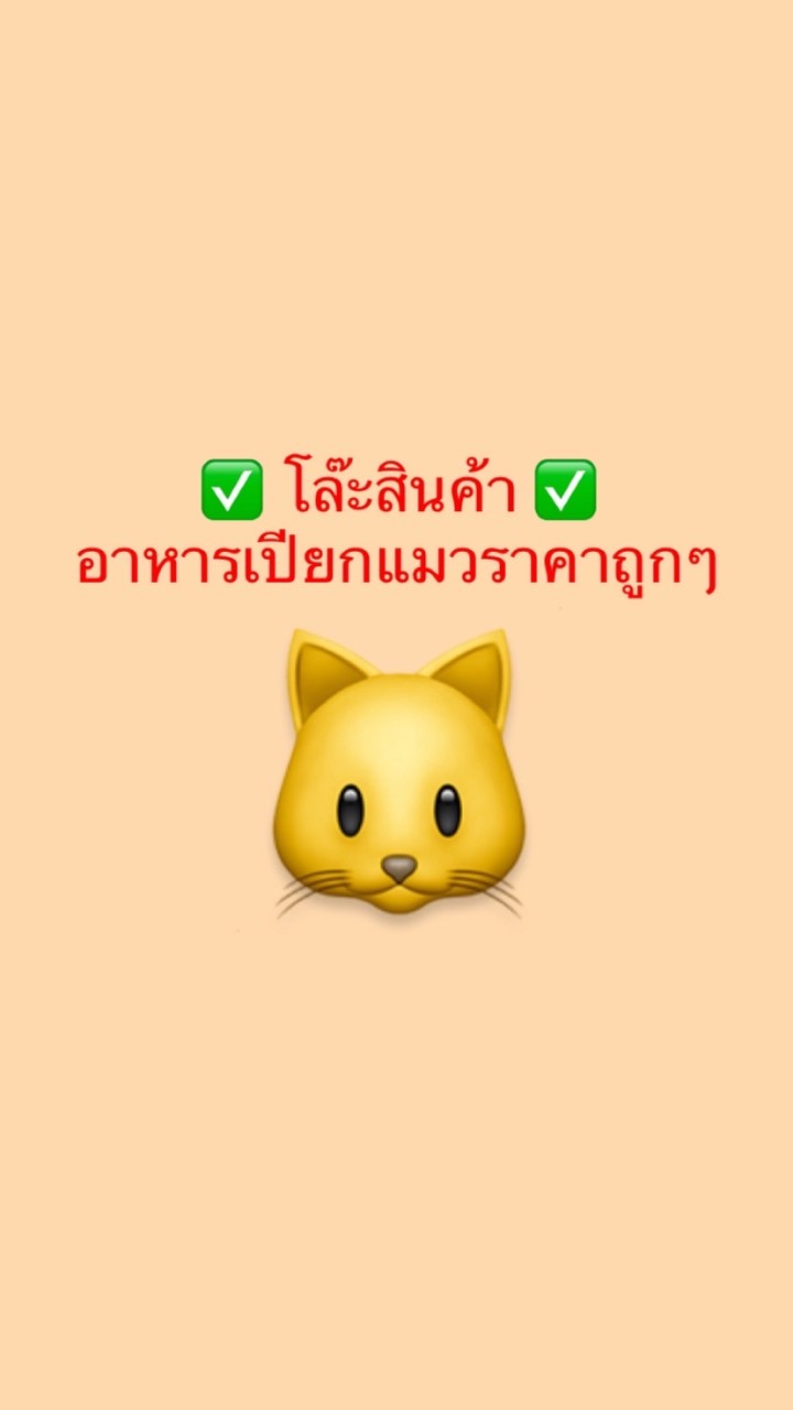 OpenChat โล๊ะอาหารเปียกแมวถูกๆ🐱