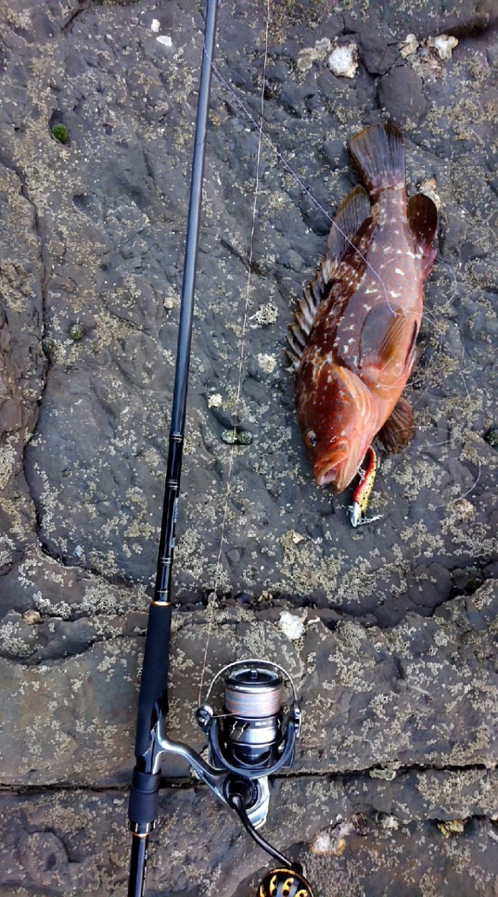 ✧︎✧︎佐賀、長崎✧︎✧︎おかっぱり釣り‪🎣‬(スーパーライトジギング他ルアー釣り)