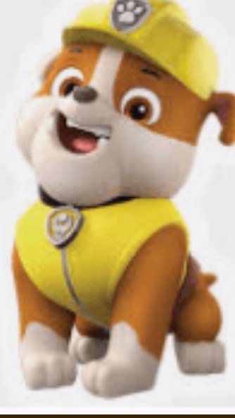 RP Paw Patrol