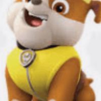 RP Paw Patrol