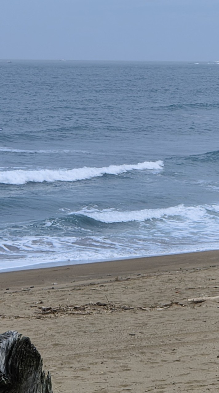 Skimboard 沙板社群