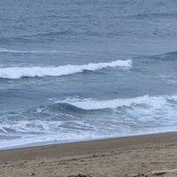 Skimboard 沙板社群