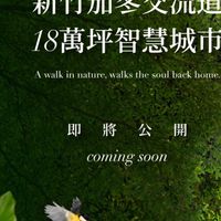 甲山林新竹案（VIP1群）