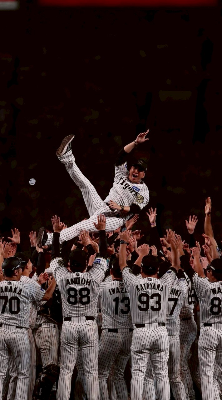 阪神タイガース歴代最速V高校野球OK応援部屋