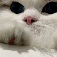 Kevin切地瓜