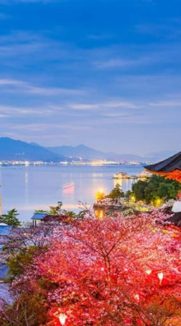 日本未来価値研究会1306