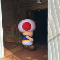 日本代購東京✈️2/15～2/20