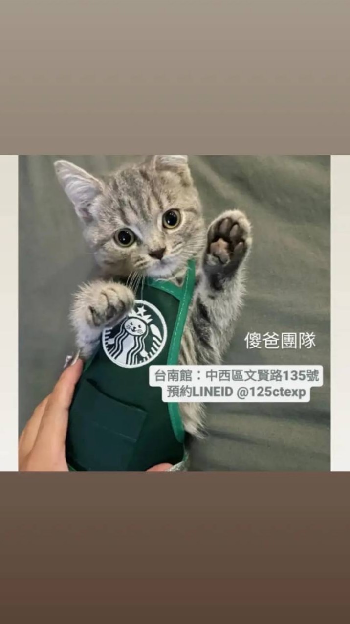 透過借養購買無悔-傻爸團隊