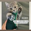 透過借養購買無悔-傻爸團隊