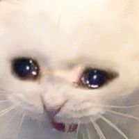 พี่รหัสน้องรหัสทับหนึ่งตึงโป๊ะ