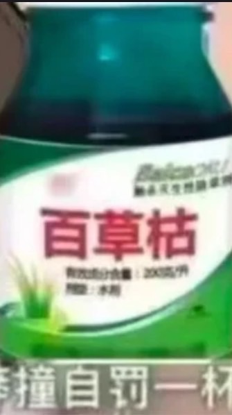 👾文豪野犬👾對戲群💅🌚