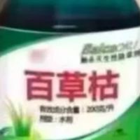 文野の製作委員会
