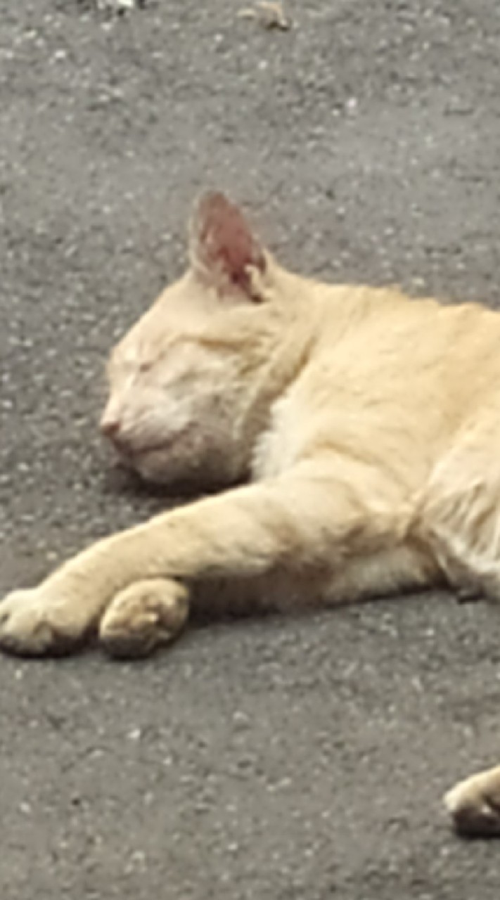 絕地求生M手遊專區