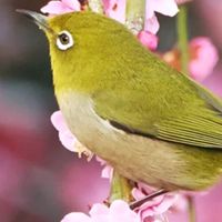 早稲田2025国際2年KJチーム
