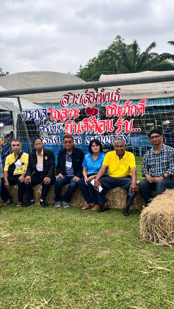 พี่น้องตระกูลโก
