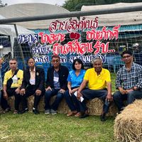 พี่น้องตระกูลโก