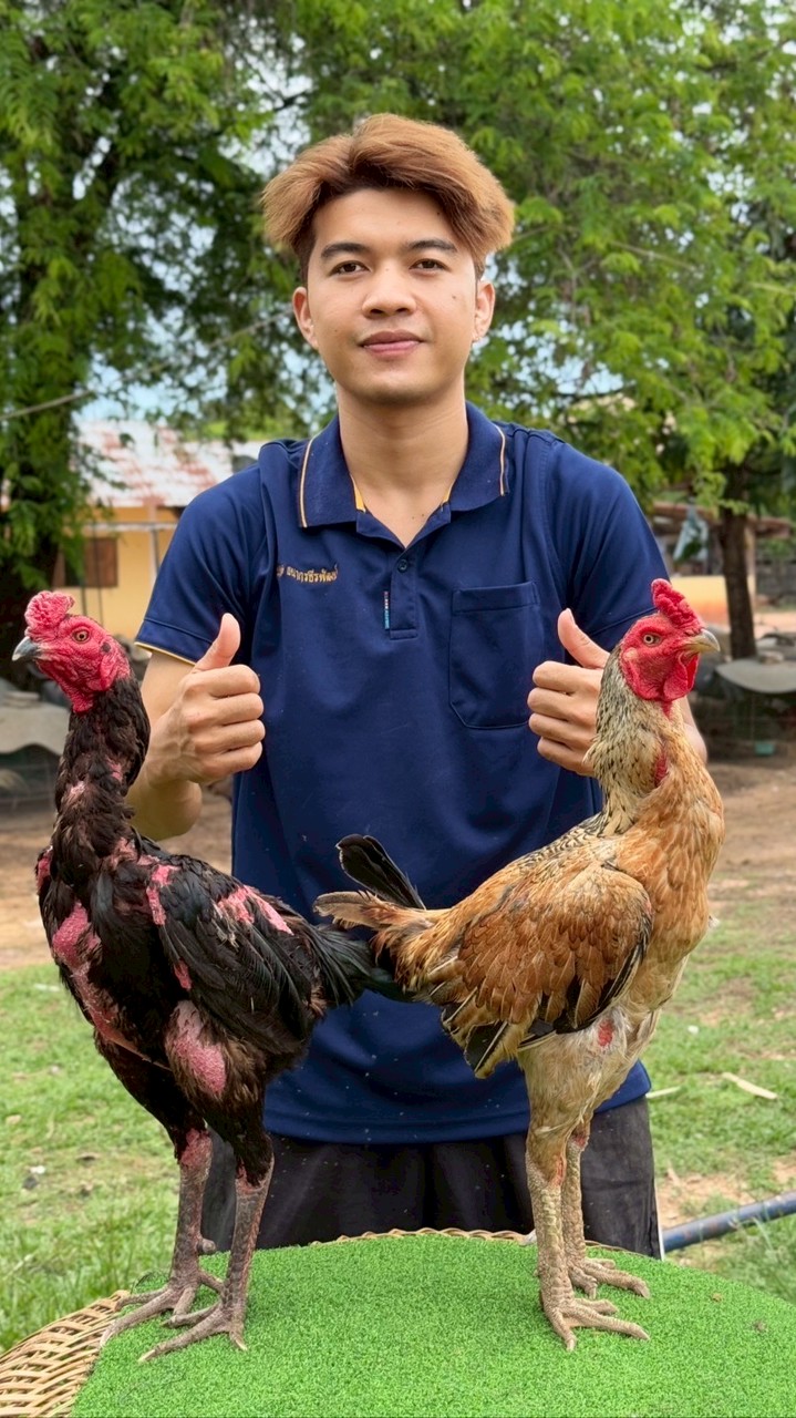 ธนากรธีรพัฒน์ฟาร์ม อุบลฯ