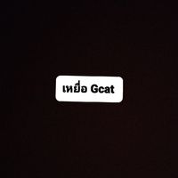 ผู้เสียหายGCAT สายกฏหมาย