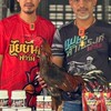 กลุ่มซื้อขายไก่หนุ่มคัดเกรดเพชรกล้าณรงค์>เน้นสายเลือดชัยยันต์ฟาร์ม