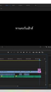 ทานตะวันเฮ้าส์
