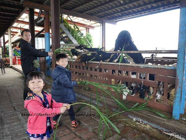 【宜蘭景點】可達羊場 #餵小動物 #羊奶冰淇淋DIY #羊奶下午茶 #宜蘭員山 #宜蘭親子景點 (22).JPG