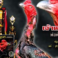 เพชรพรรณา ฟาร์ม