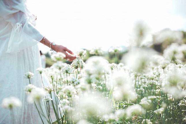 ▲往年舊照(圖片來源：IG@jelly0120)