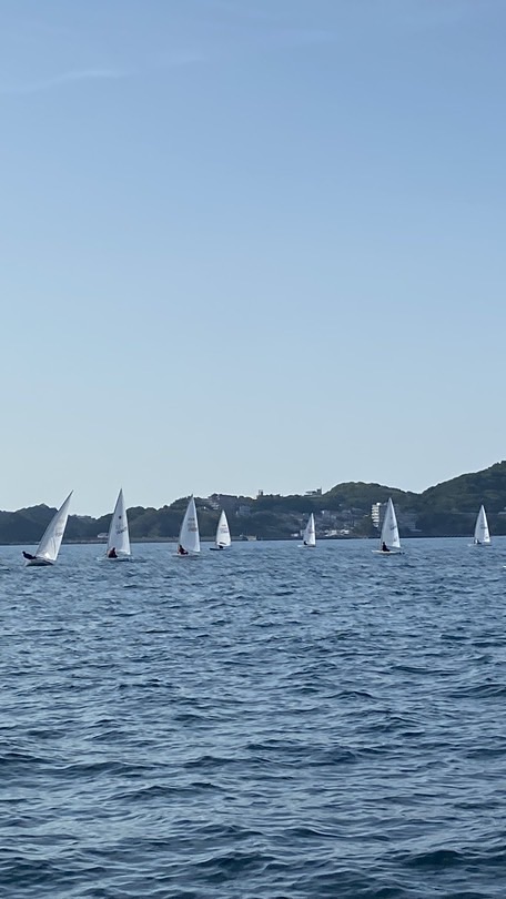令和8年度インターハイ ヨット競技大会