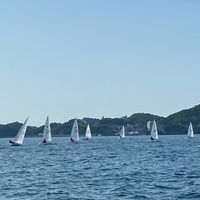 令和8年度インターハイ ヨット競技大会