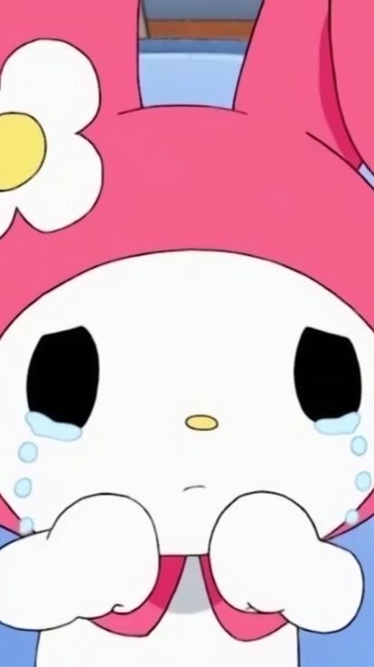 ด้อมแมว