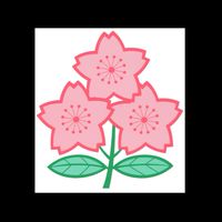 2021JRFU.A級コーチ受講者