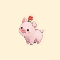入諧教得小豬🐷