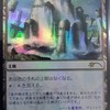 あそびカフェセタシア MTG 総合
