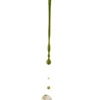 Matcha513