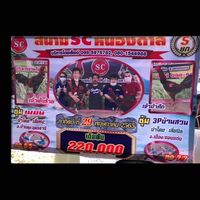 ซุ้ม.พยัคฆ์แข้งเงิน 🏆