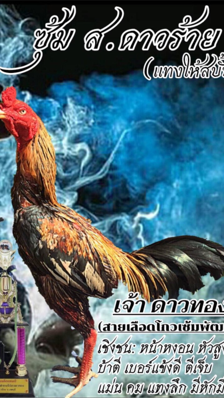 ซุ้ม ส.ดาวร้าย (สังกัด ส.นำชัย)