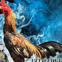 ซุ้ม ส.ดาวร้าย (สังกัด ส.นำชัย)