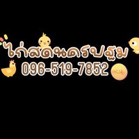 ไก่สดนครปฐม