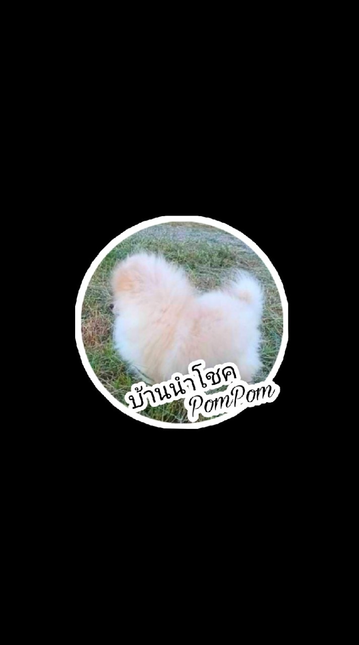 บ้านนำโชคPomPom_CM