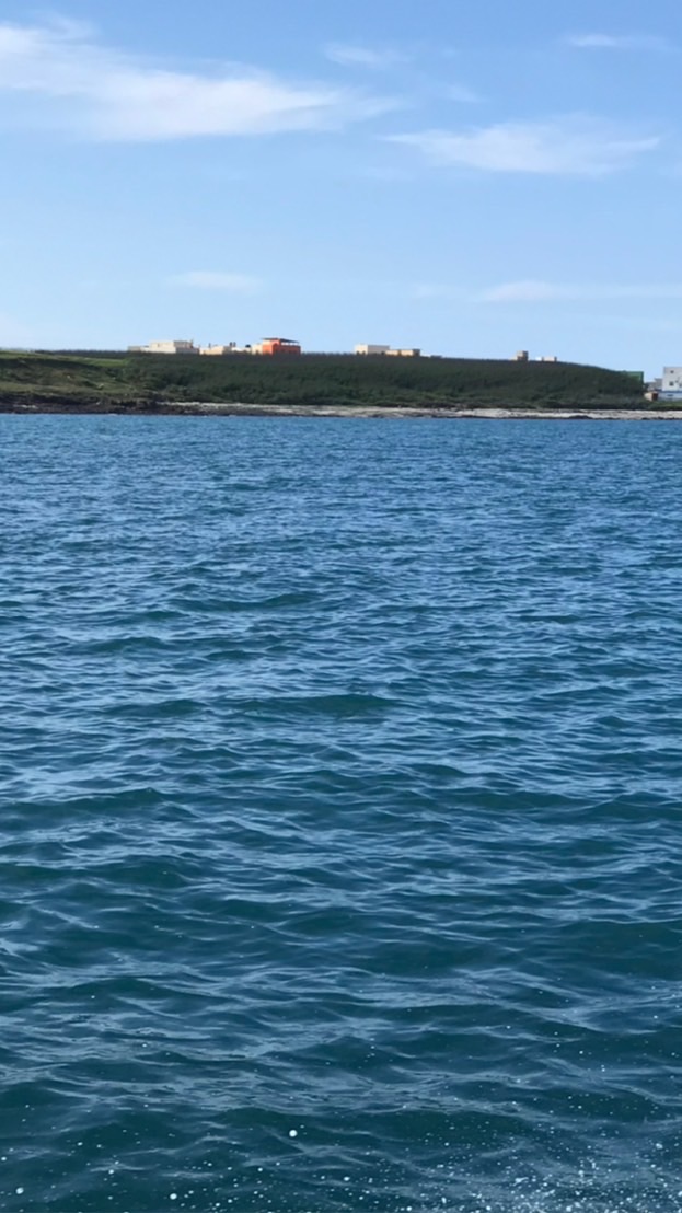 琳鱻海味宅配   澎湖產地直送