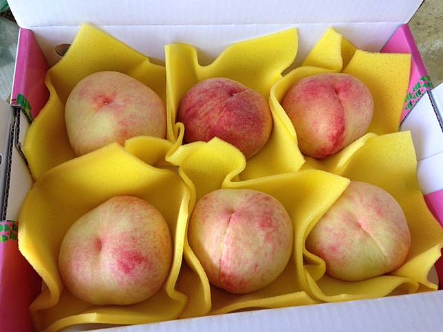 水蜜桃季來了 疫情微解封不亂跑 台灣三大山區水蜜桃產地直送 奧丁丁 Line Today